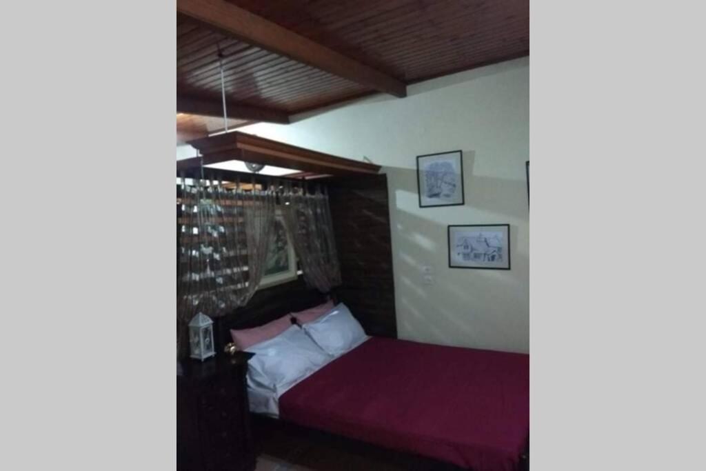 Green Hill Studio Corfu Town Екстер'єр фото