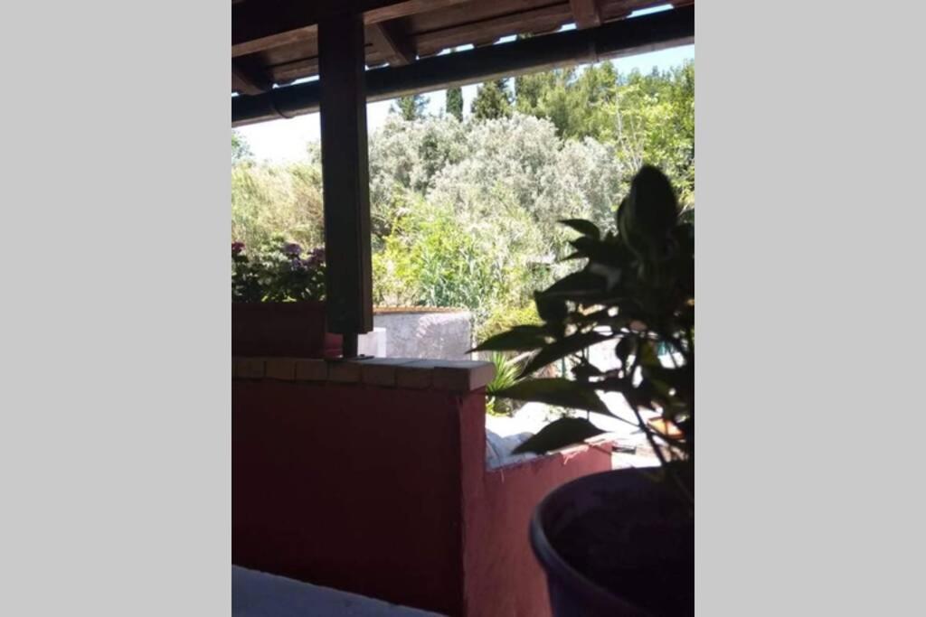 Green Hill Studio Corfu Town Екстер'єр фото
